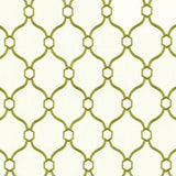 Kasmir Braxton Grass Fabric