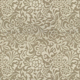 Kravet SARASVATI PLATINUM Upholstery Fabric