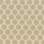 Kasmir Breslin Raffia Fabric