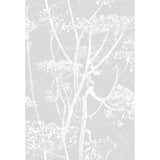 Cole & Son COW PARSLEY LINEN PRINT SOFT GREY Fabric