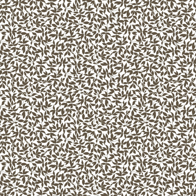 Gaston Y Daniela HIEDRA TOSTADO Wallpaper