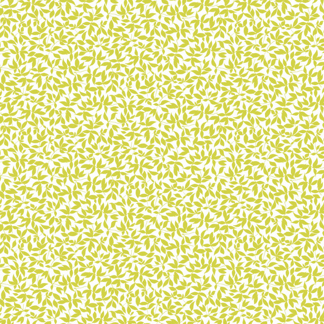 Gaston Y Daniela HIEDRA MOSTAZA Wallpaper