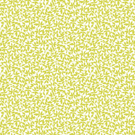 Gaston Y Daniela HIEDRA MOSTAZA Wallpaper