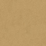 Kravet SMART OSSY 1616 Upholstery Fabric