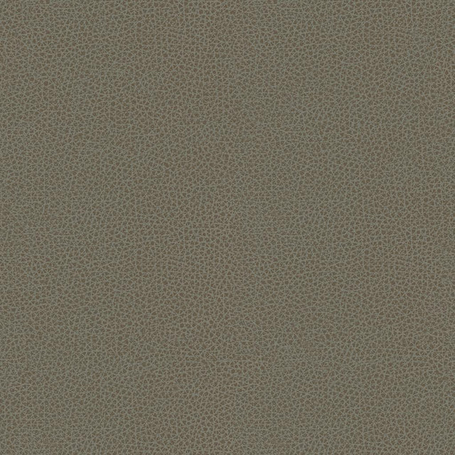 Kravet DESIGN RIGEL 11 Upholstery Fabric