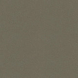 Kravet DESIGN RIGEL 11 Upholstery Fabric
