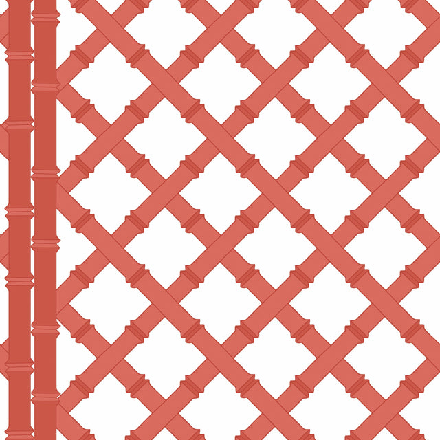 Gaston Y Daniela TRELLIS BLANCO/POMELO Wallpaper