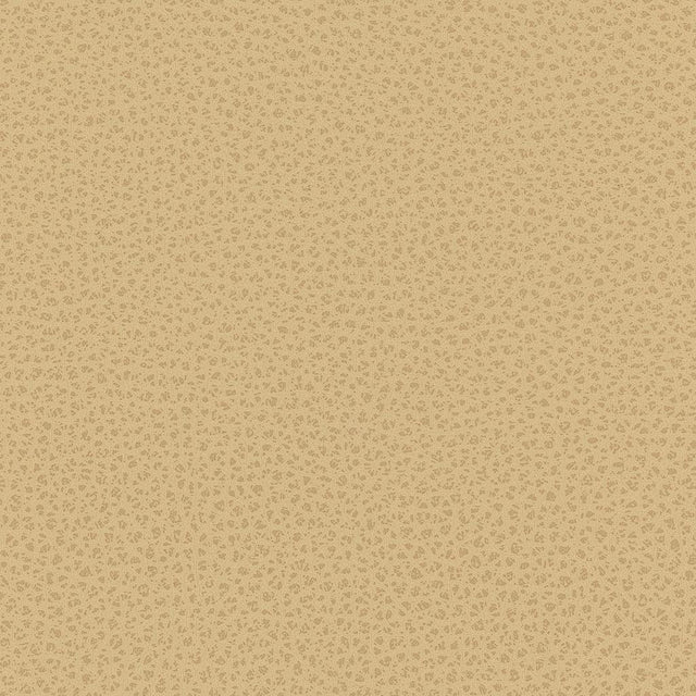 Kravet DESIGN RIGEL 16 Upholstery Fabric