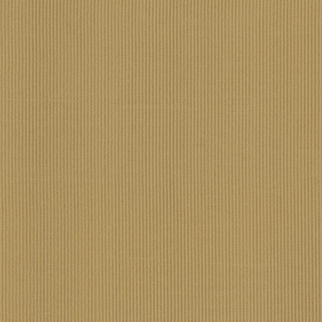 Kasmir Bright Lights Gold Fabric