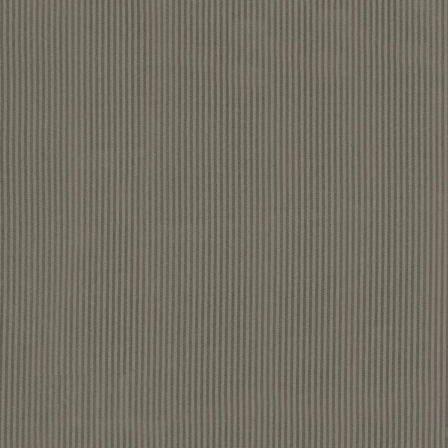 Kasmir Bright Lights Grey Fabric