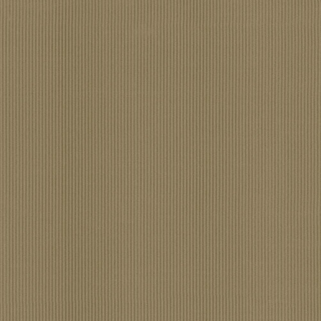 Kasmir Bright Lights Latte Fabric