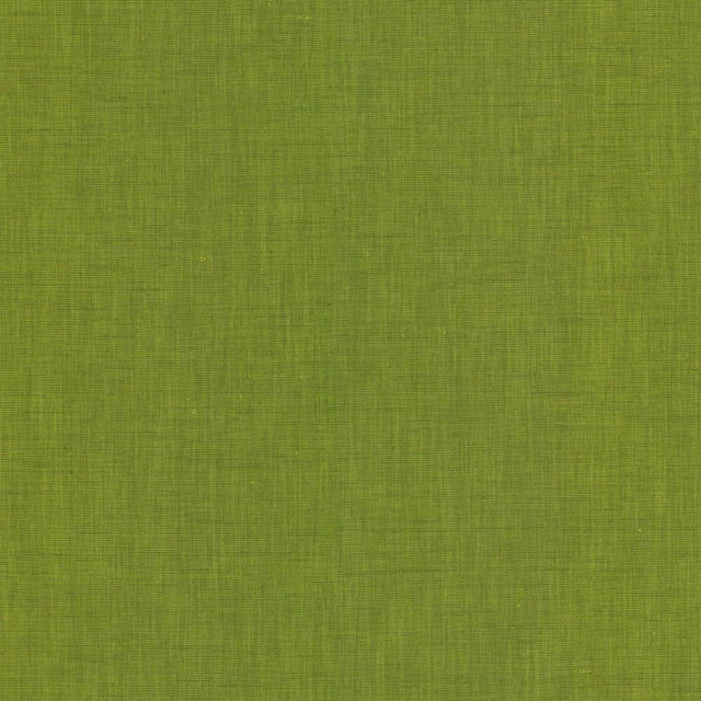 Kasmir Brussels Grass Fabric