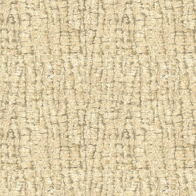 Kravet AFTER PARTY CHAMPAGNE Upholstery Fabric