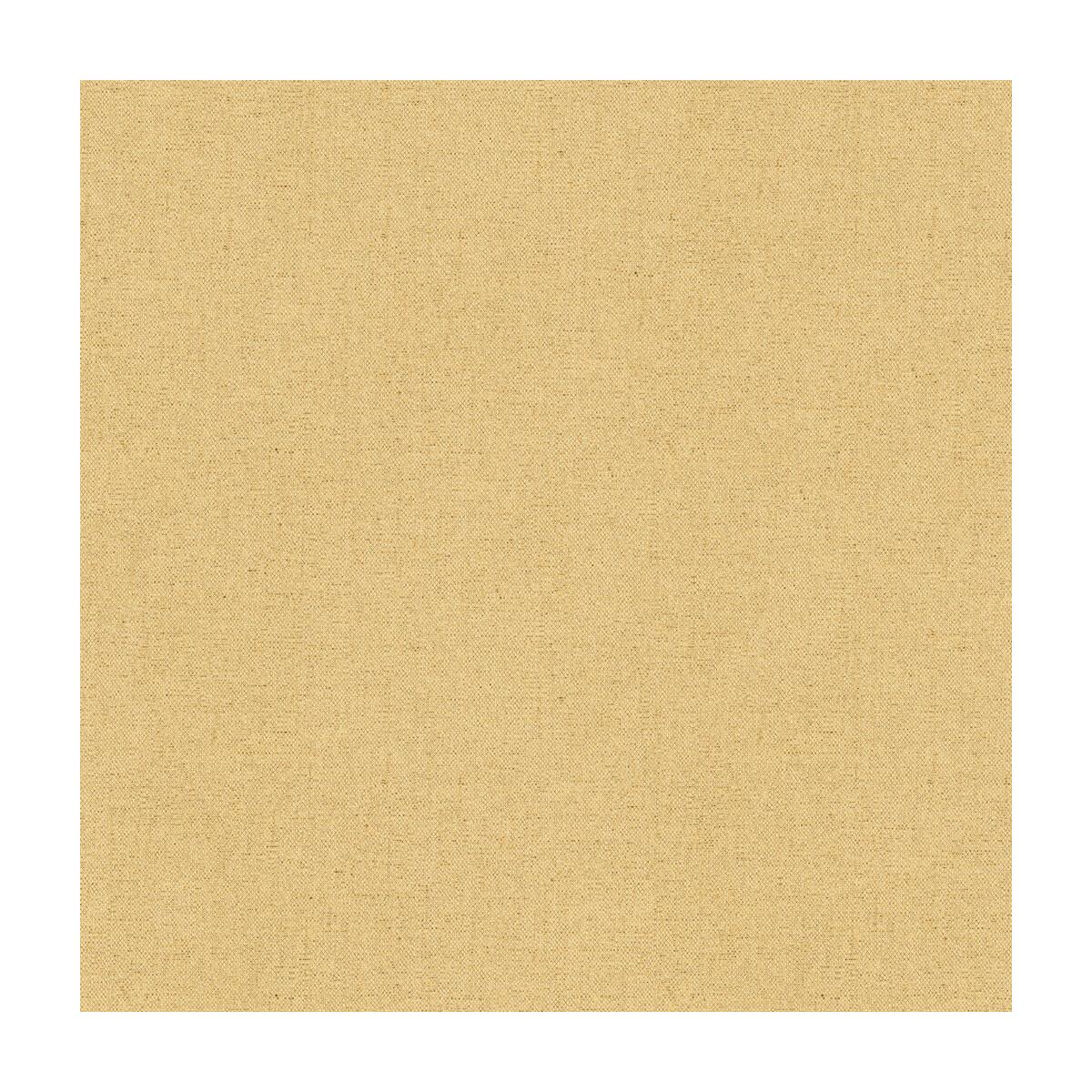 Kravet 34209 4 Fabric