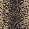 Schumacher Cheetah Velvet Ebony Fabric
