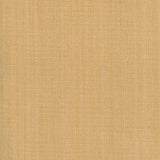 Kasmir Burnet Butter Fabric