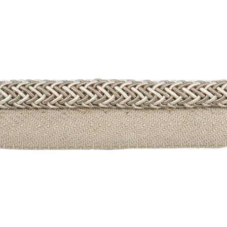 Kravet ELECTRIC EDGE TAUPE Trim