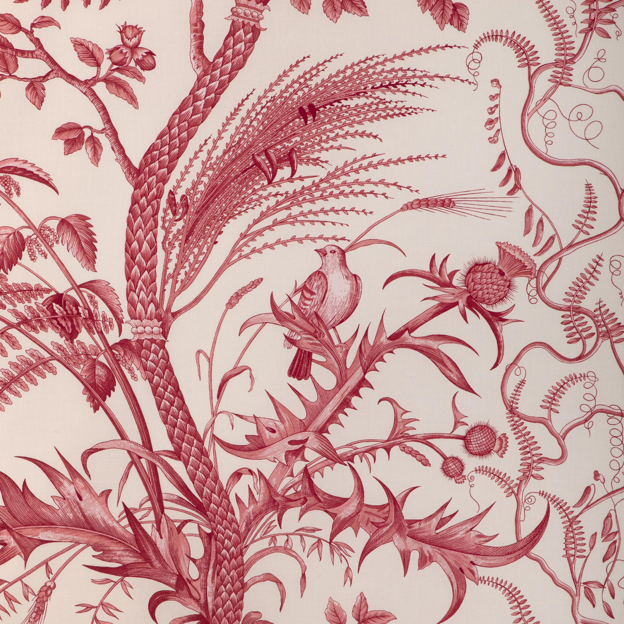 Brunschwig & Fils BIRD AND THISTLE COTTON PRINT RED Fabric