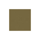 Kravet Delta Koala Fabric