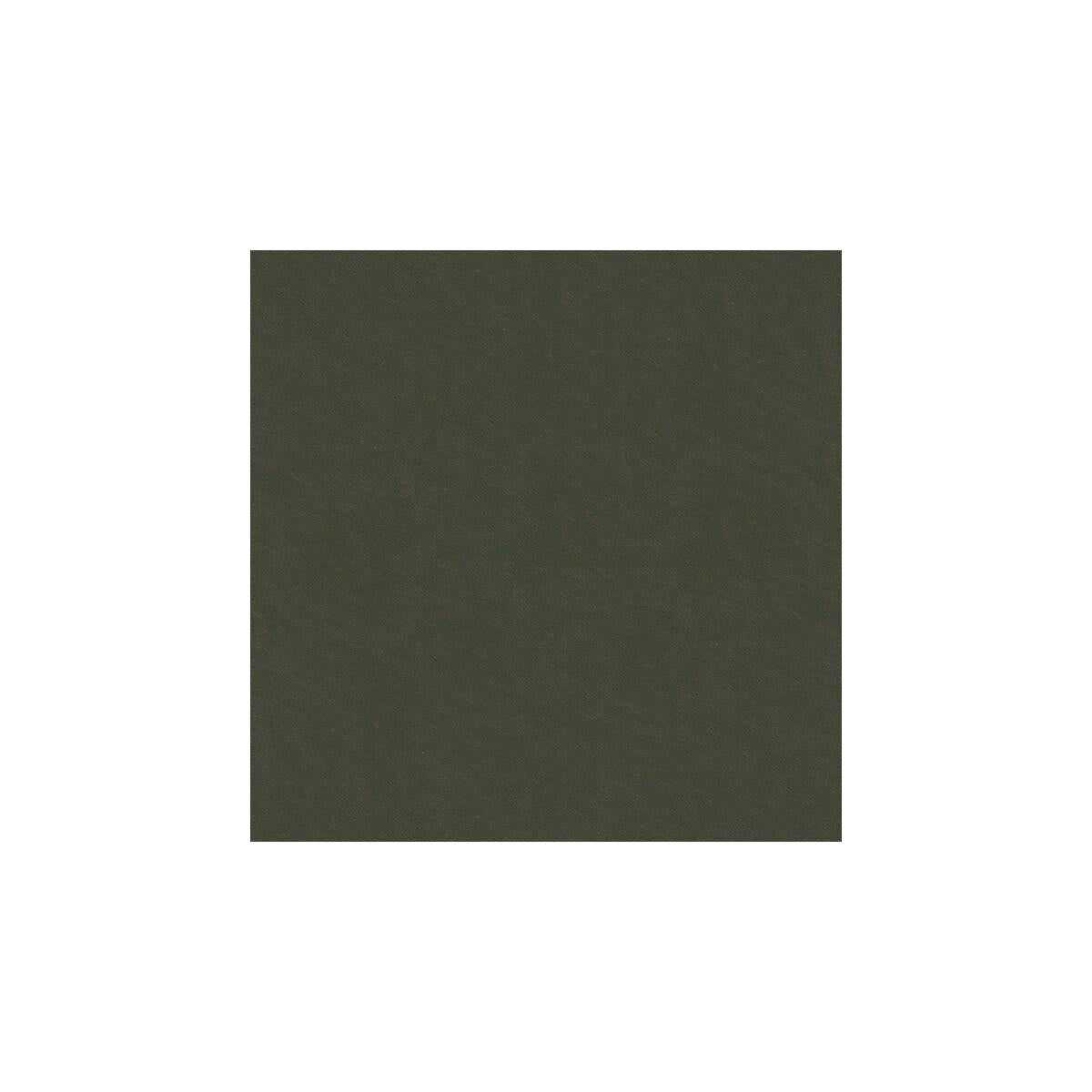 Kravet Delta Iron Fabric
