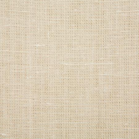 Pindler FABIENNE ECRU Fabric