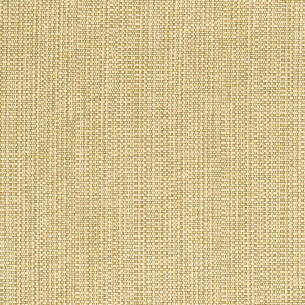 Kravet KRAVET SMART 34627-416 Fabric