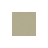 Kravet Carmine Silver Fabric