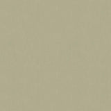 Kravet CARMINE SILVER Fabric