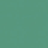 Kravet CARMINE BIMINI Fabric