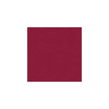 Kravet Delta Punch Fabric