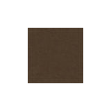 Kravet Delta Truffle Fabric