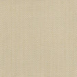 Kasmir Callahan Oyster Fabric