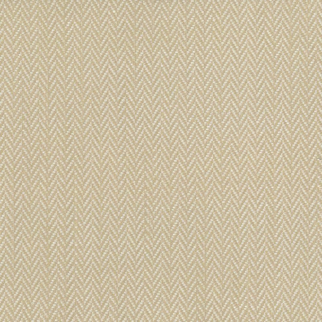 Kasmir Callahan Oyster Fabric