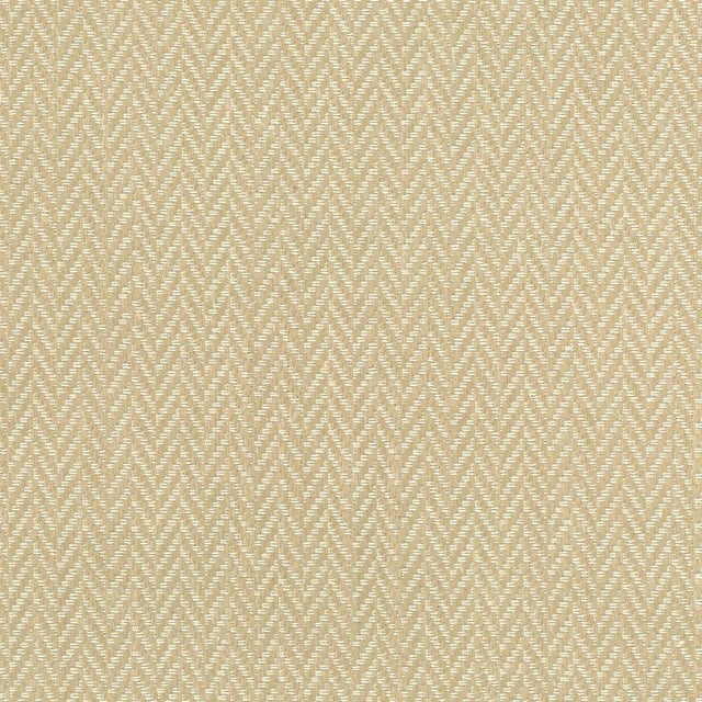 Kasmir Callahan Sand Fabric