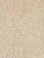 Scalamandre Raindrop Truffle Fabric