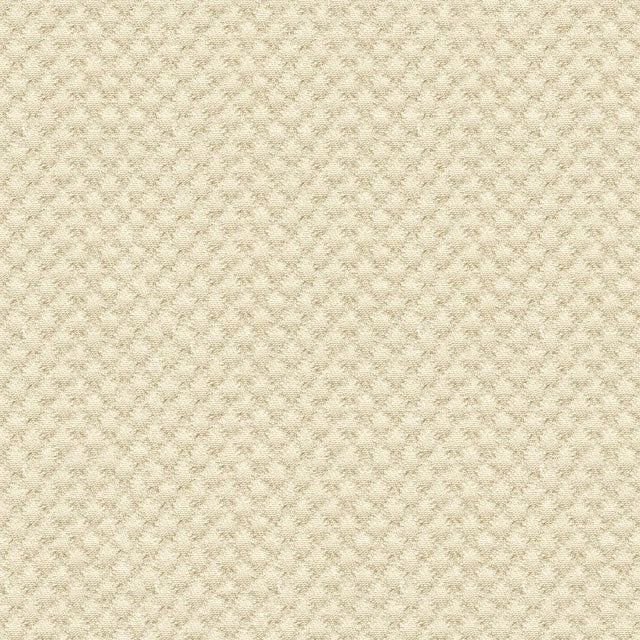 Kravet DESIGN 25807 1116 Upholstery Fabric