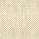 Kravet DESIGN 25807 1116 Upholstery Fabric