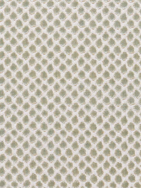 Scalamandre Etosha Velvet Mineral Fabric