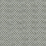 Kravet DESIGN 25807 1121 Upholstery Fabric