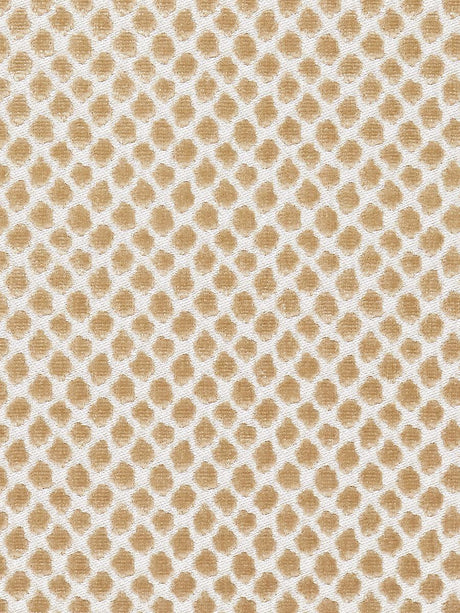 Scalamandre Etosha Velvet Sand Fabric