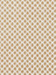 Scalamandre Etosha Velvet Sand Fabric