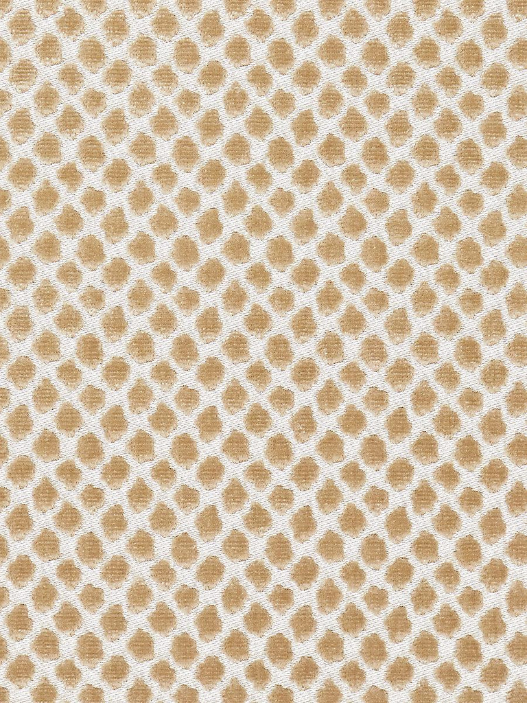 Scalamandre Etosha Velvet Sand Fabric