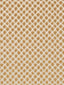 Scalamandre Etosha Velvet Palomino Fabric