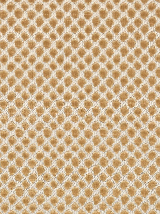 Scalamandre Etosha Velvet Palomino Fabric