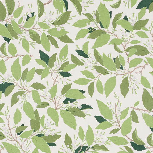 Schumacher Dogwood Leaf Ivory Fabric