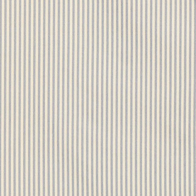 Schumacher Charee Silk Stripe Blue And White Fabric