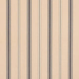 Schumacher Coco Stripe Stone Fabric