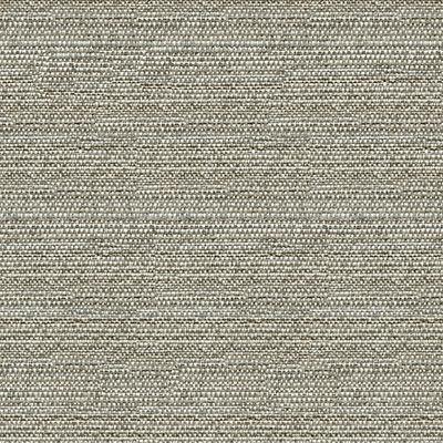 Kravet COUTURE 31695 11 Upholstery Fabric