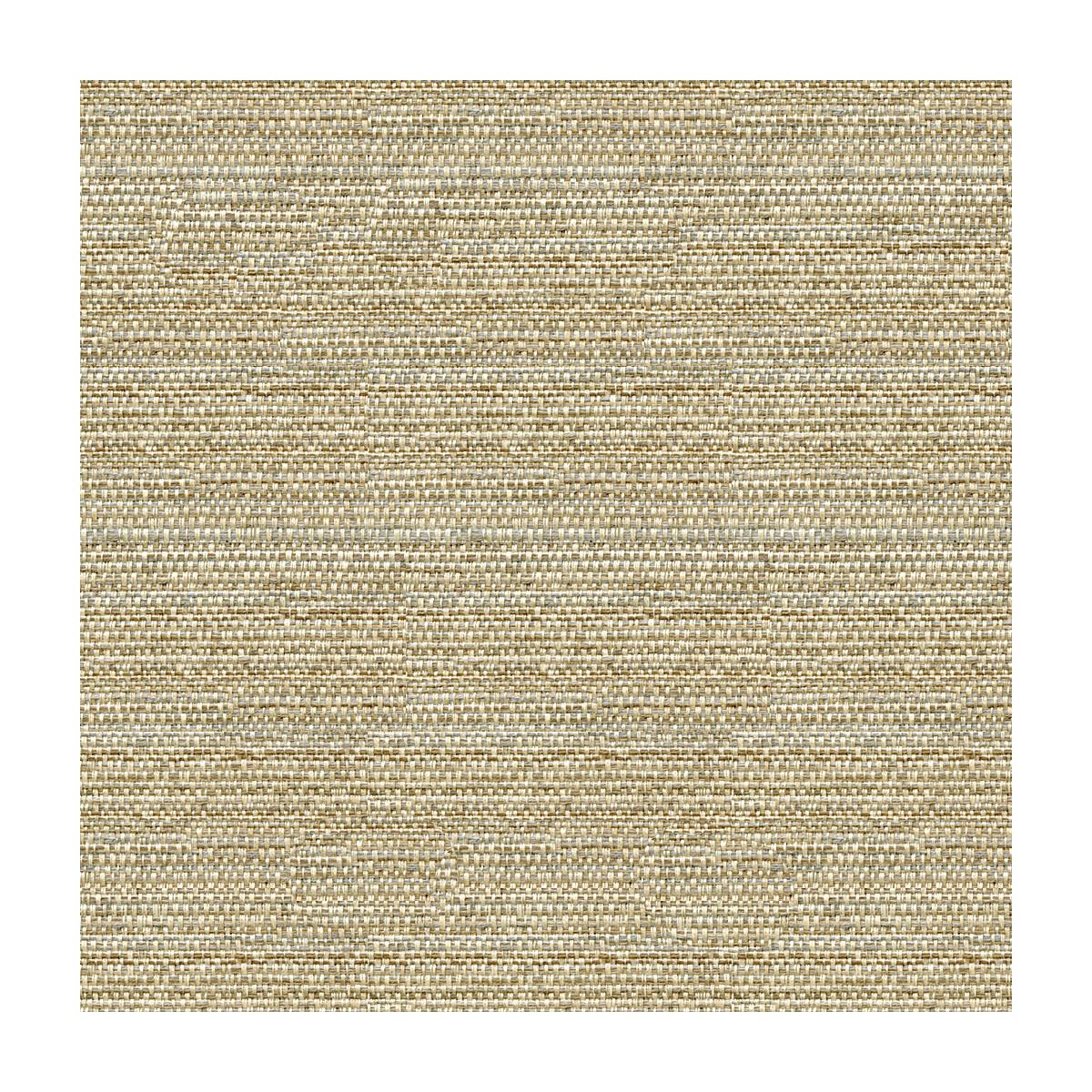 Kravet 31695 1611 Fabric