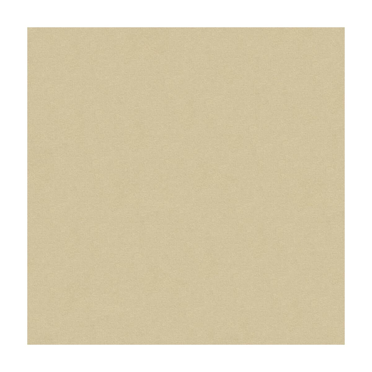 Kravet 34205 1116 Fabric